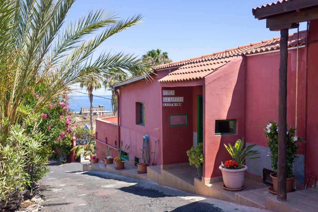 Finca La Gaviota - Los Limoneros Icod De Los Vinos Exterior foto